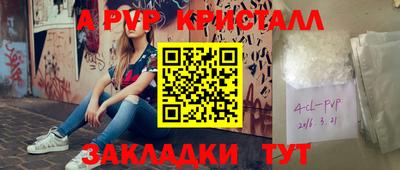 шишки Бийск