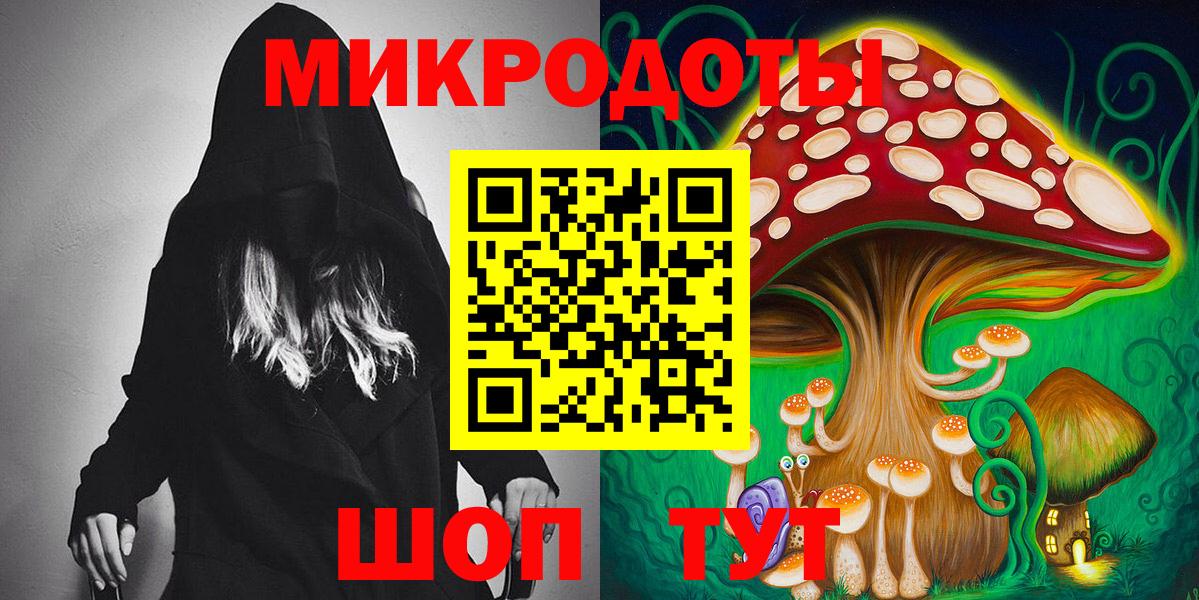 купить наркотик  Псилоцибиновые грибы мухоморы  Вход с VPN  Заволжье  Псилоцибиновые грибы Psilocybine cubensis 