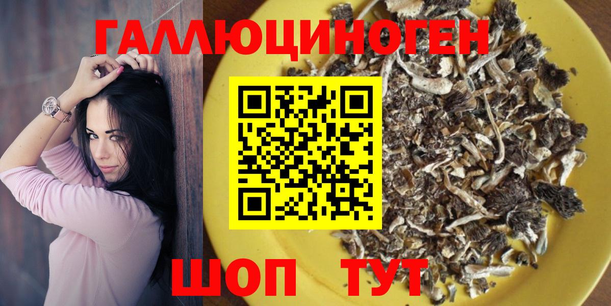Галлюциногенные грибы Psilocybe Заволжье